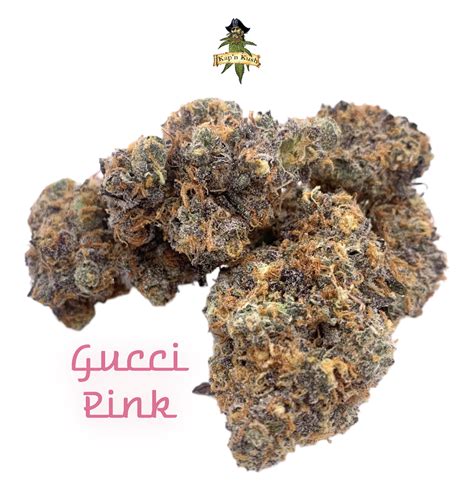 gucci pink weed|gucci pink.